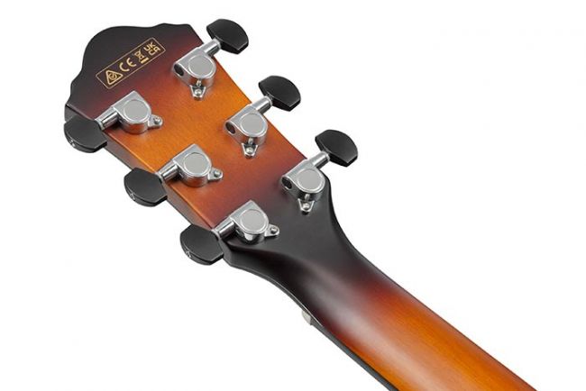 Ibanez AEWC400-AMS