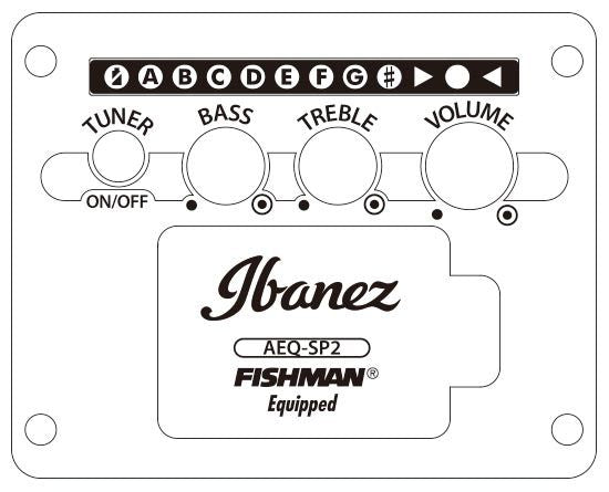 Ibanez AEWC400-AMS
