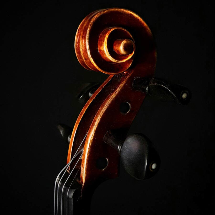 Rudolph RV-1544 käsintehty Conservatoire Viulu 4/4 All Solid Oil Varnish käsintehty