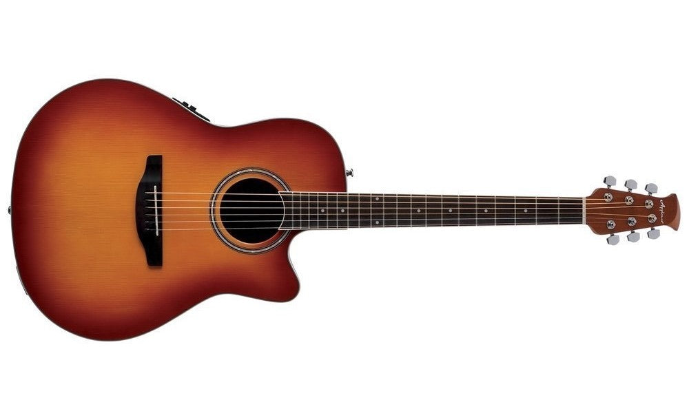 Applause AB24II Mid Cutaway
