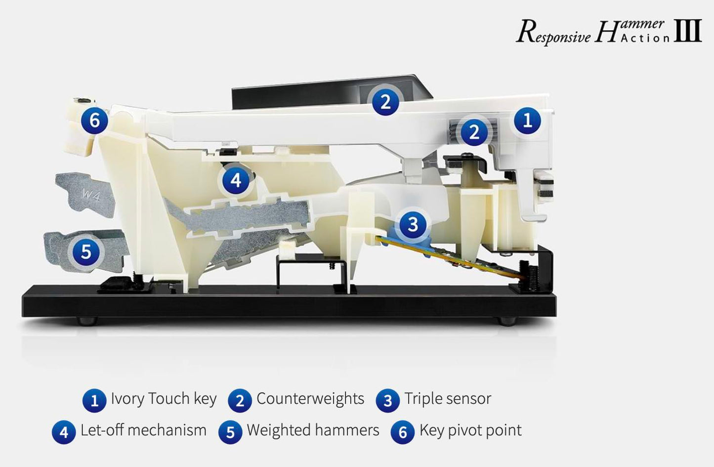 Kawai CN201W -digitaalipiano (valkoinen)