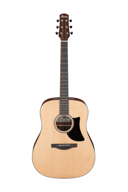 Ibanez AAD50-LG