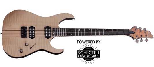 Schecter Banshee Elite 6 Gnat