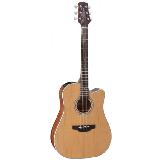 Takamine GD20CE-NS