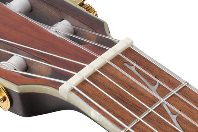 Ibanez TOD10N-TKF Tim Henson mikitetty Signature klassinen kitara