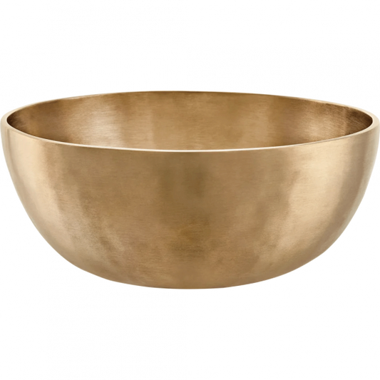 Meinl Sonic Energy Universal äänimalja U1700, 25cm