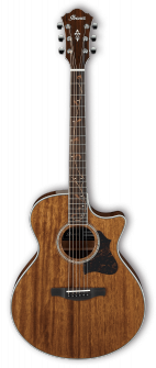 Ibanez AE245-NT
