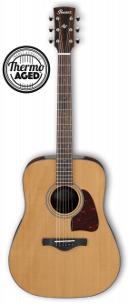 Ibanez AVD10-BVS Thermo Aged Vintage Artwood